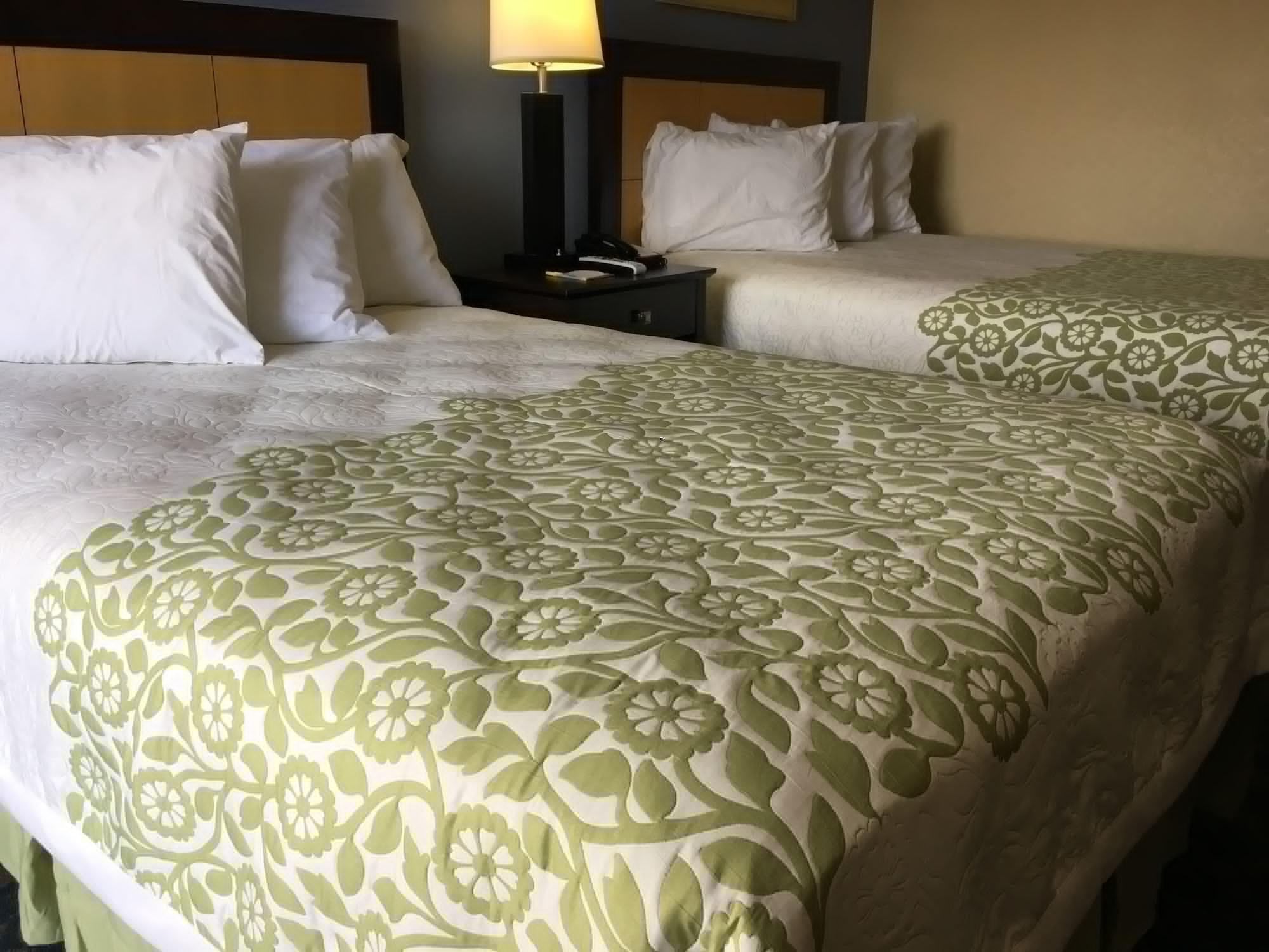 Days Inn & Suites By Wyndham Tampa - Ybor City Экстерьер фото